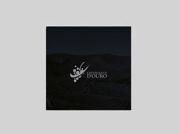 Experience Douro