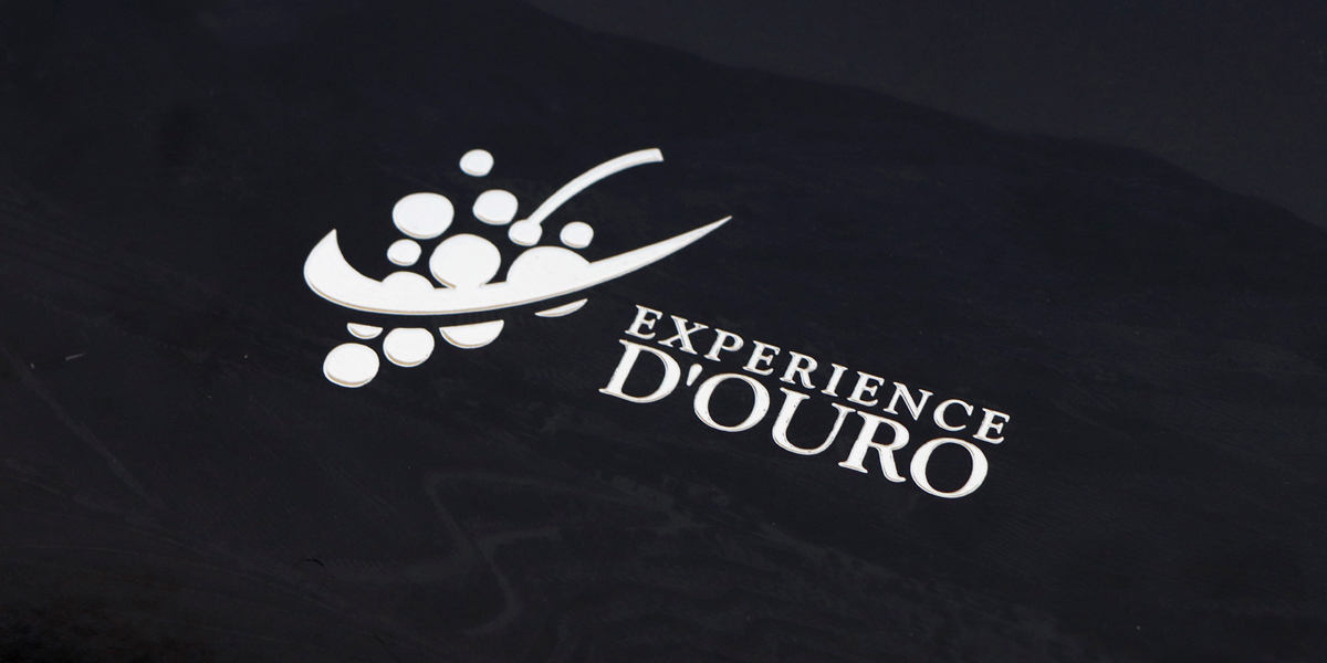 Experience Douro